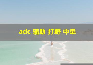 adc 辅助 打野 中单